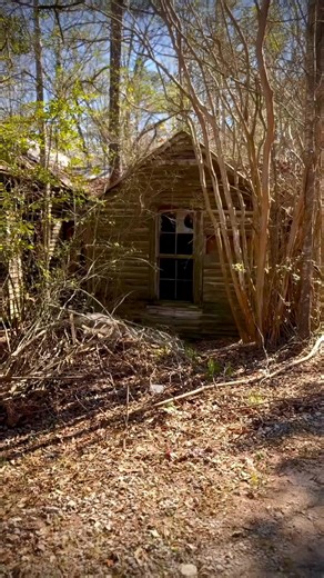 18K views · 839 reactions | Hidden in plain sight—this old farmhouse sits right beside a busy highway, lost in the overgrowth. Cars rush past, but how many notice this forgotten piece of history and give thought to what once was? #history #abandonedplaces #forgottenhistory #ruraldecay #hiddeninhistory #lostandfound #urbanexploration #historicpreservation #oldhouse #ghostsofgeorgia #abandonedfarmhouse #exploringwithme | Adventures Into History | Facebook