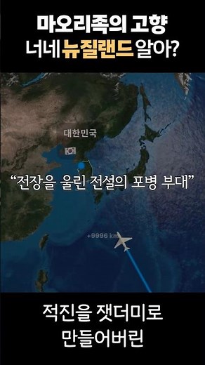 전장을 울린 전설의 포병 부대! 뉴질랜드를 아시나요? l 함께 지킨 대한민국🙏 ep.7 뉴질랜드 #shorts #감사의정원 #한국전쟁