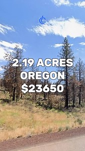 2.19 Acres with road access for Sale in Bonanza Oregon for $23,650 #land #property #investing #cheap #forsale #sale #vacantland #landcentury #USA #fyp #viral #realestate #realestateagent #realtor #realtors #realestateagents #flip #flips #flipping #properties #propertyforsale #landcentury | Land Century