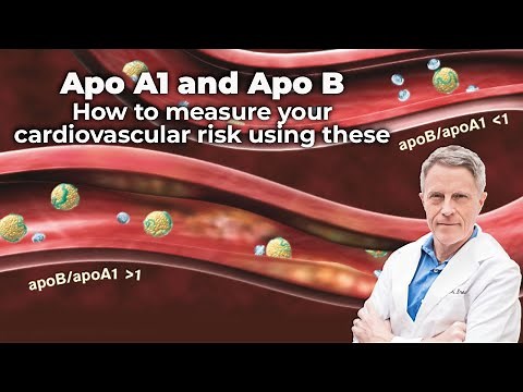 Apo A1 & Apo B: How to Measure Your Cardiovascular Risk Using These 2