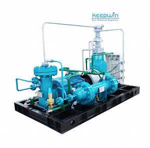 [Hot Item] Oil Free Water Cooled High Pressure CO2 Gas Carbon Dioxide Booster Compressor