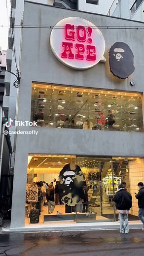 Exploring the BAPE Brand: A Dive into Japanese Streetwear