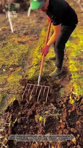 Simple Soil Preparation: Using a Hand Rake for Gardening