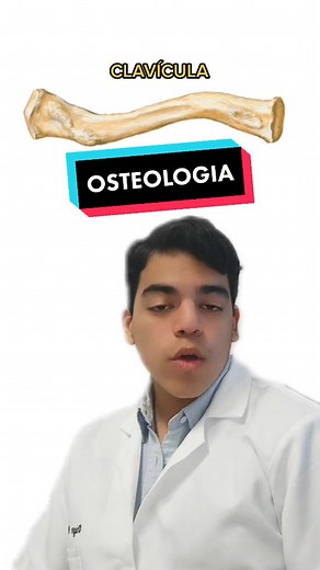 Anatomía de la clavícula: Vistas, orientación y tips de estudio