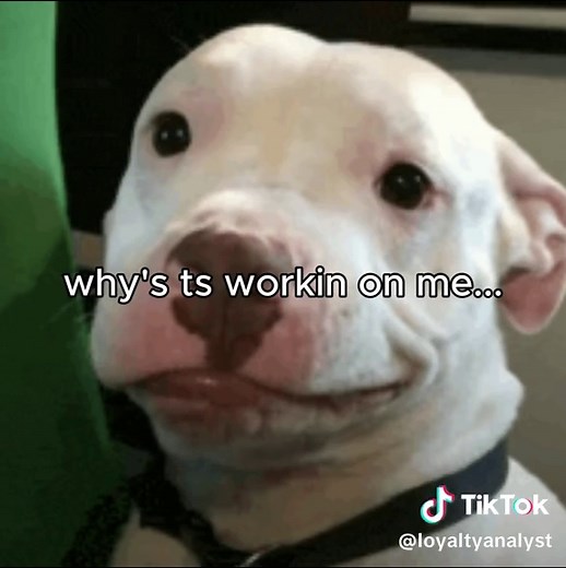 Understanding Loyalty Tests in Relationships