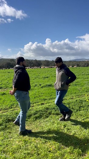 Μια ελληνική ταινία μου θυμίζουν…Αλλά δ θυμάμαι ποια! #viral #tik_tok #viralvideo #fyp #fy