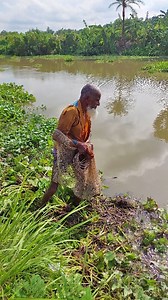 150K views · 553 reactions | Hardworking 80 Years Old Man Incredibly Hunting Fish by Cast Net, Salute Him | Fishing & Village Tradition | Facebook