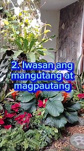 588K views · 7.8K reactions | Tips para Maka upon ng pera ngayong 2026 o year of the fire horse #tips #MAKAIPON #pera #ngayong2026 #YearOfTheFireHorse #fbviralpost2025シ #fbpost2025シ #facebookpostシ #fbyシvideo | Ronel Merculio Salviejo | Facebook