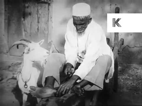 1930s East Indian People in Trinidad