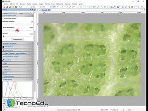 Uso básico del software para videomicroscopía PROVIEW