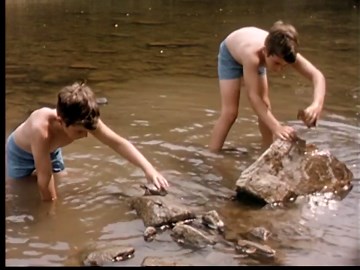 Rural Holidays (1965)