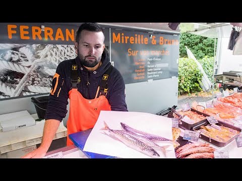 IS MY FISH NOT FRESH?! RAFAAM