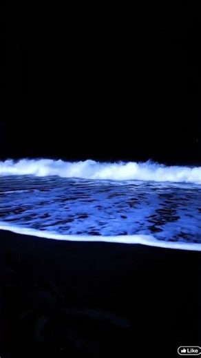 Rare "Blue Tears" Ocean Phenomenon 💙🌊