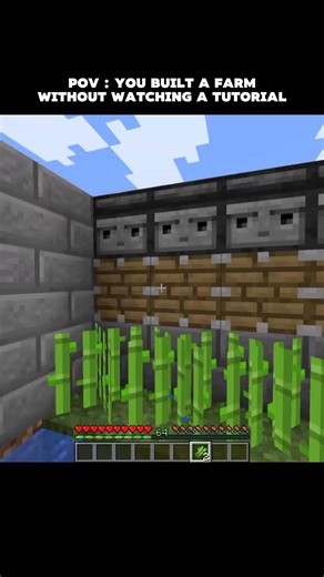 You build a farm without watching the tutorial 🙏😭😭 #minecraft #memes #minecraftmemes #shorts #foryou