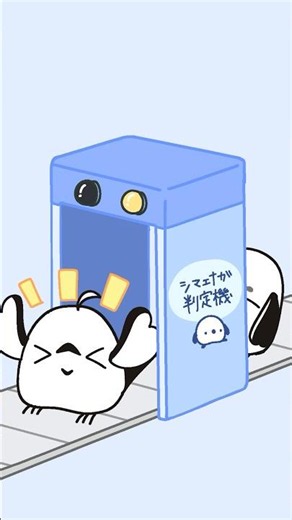 シマエナガだもん…！ #shorts #シマエナガ