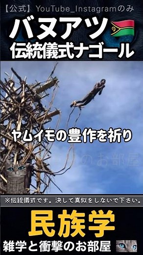 【民族学】バヌアツ🇻🇺伝統儀式ナゴール