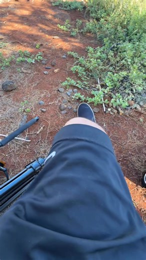 Stan Robert on Reels