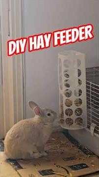 DIY Bunny Hay Feeder IKEA VARIERA Plastic Bag Dispenser Hack! (Easy & No Mess) 🐰 #IKEA #Bunny #pets