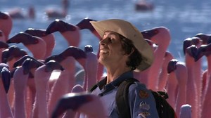 Andy's Wild Adventures S01E08 - Flamingos