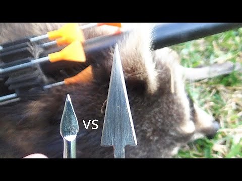 Cold Steel Blowgun Dart Review - mini broad head vs. razor tip