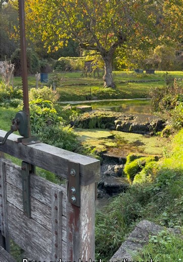 • PROVINS • Quand tes clients te demandent pourquoi t’habites si loin de Paris… Parce qu’une balade un dimanche dans mon village ressemble à ça 🌿✨ #provins #sortieparis #campagne #village #pourtoi