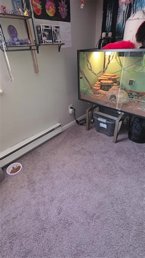 better.😤😂 Just kidding, I mean she helps but a suit wont fix your problems love I promise 💕 #furry #fursona #firstfursuit #furrytok #furrytiktok