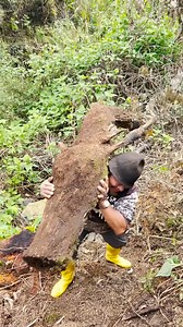 2.3M views · 33K reactions | ENCONTRE UN ENORME DRAGON  | Tiojulito | Facebook