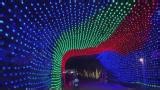 Bronx Zoo's spectacular Holiday Lights opening for the season