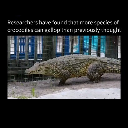 Follow @bad_science_jokes for more! | Bad Science Jokes