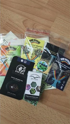 Only 4 can enter the tent… 🌱 #shorts