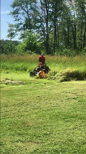Cutting unbelievably tall grass!