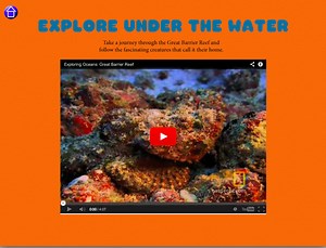 1 - A reef introduction