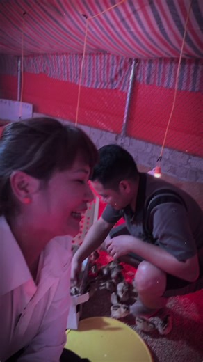 Một là lấy xe chị trang- 2 là vào miền nam không có ngày về . Giám chơi giám chịu. Gà 60 là nhặt ạ #xuhuong #trend #tic #phungthitrang