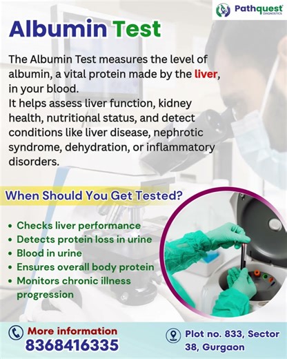 Albumin Test | Importance, Uses & Health Indicators | Pathquest Diagnostics #bloodtest #pathologylab