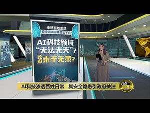 AI安全隐患层出不穷 政府推AIGE成AI制度化开端 | 八点最热报 19/09/2024
