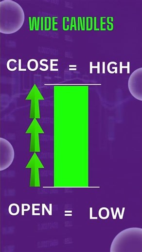 Candlestick Explained in Tamil – Beginner's Guide to Stock Market Trading!