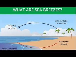 Sea breezes💦💧🌊🌎 wind that occur in coastal areas due to temperature differences between land and sea