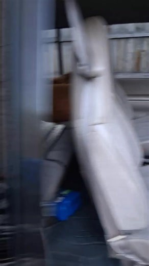 1.4K views · 14 reactions | Family projects trump live feeds of crime ... corruption and crime are important but family and money is more important ... hiho | Substance News | Facebook