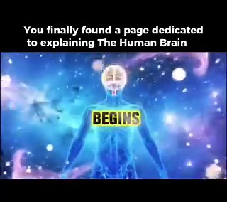 Connection between a male human brain and a female breast