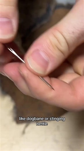 How to make a rabbit fur hat. I raised this rabbit, tanned it’s hide using tree bark, and now its a hat for my baby boy. #fyp #survival #bushcraft #primitive #wildernessskills #meatr#73 | Garden Idea