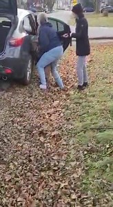 This is what happens during a surrender - this is what happens when you breed unethically and what the dog goes through coming to rescue to find that person that will understand they need time to trust you. We HAVE to do better because seeing a dog look back towards the only home it has ever known is heartbreaking. Please if you are considering breeding your dog remember this video and think long and hard as rescues are going broke trying to fix what you created. We have taken way too many of th