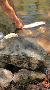 Cooking Fresh Fish in the Wild | 5-Minute Crafts Men