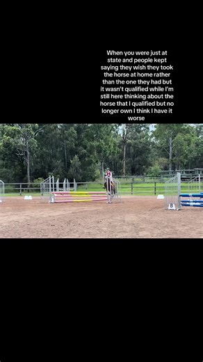 Emotional Moments in Horse Jumping Competitions