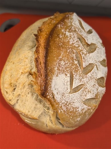 Morgan Springsteen (@morganspringsteen)’s videos with She's Back - Sexyy Red