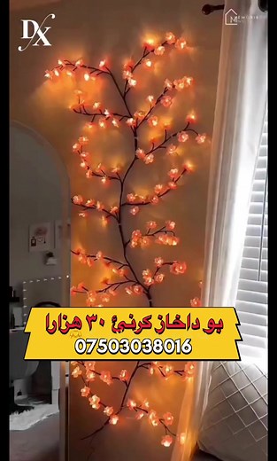 بوجي تو سلي: غوره‌كردنێ لحن كوردي لە کلاسی کاراوکه