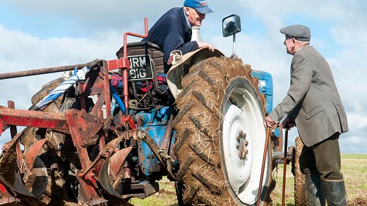 Classic Devon sayings we should all learn - and what they mean