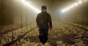 Netflix documentary series Rotten exposes fraud and corruption in today’s global food industry | The National