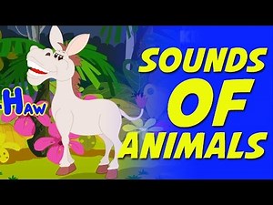Sounds Of Animals Nursery Rhyme