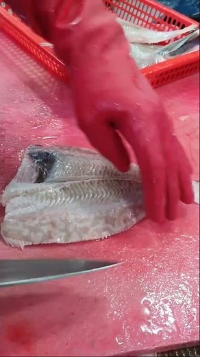 삼천포 이시가리 맛집 줄가자미회 드셔보셨나요?