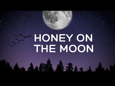 Honey on the Moon | A Romantic Night Vibe Song